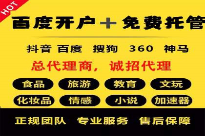 竞价推广实战：经典案例深度解析